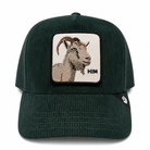 goorin bros plaid cap CURD HIMGREEN GOORIN BROS 