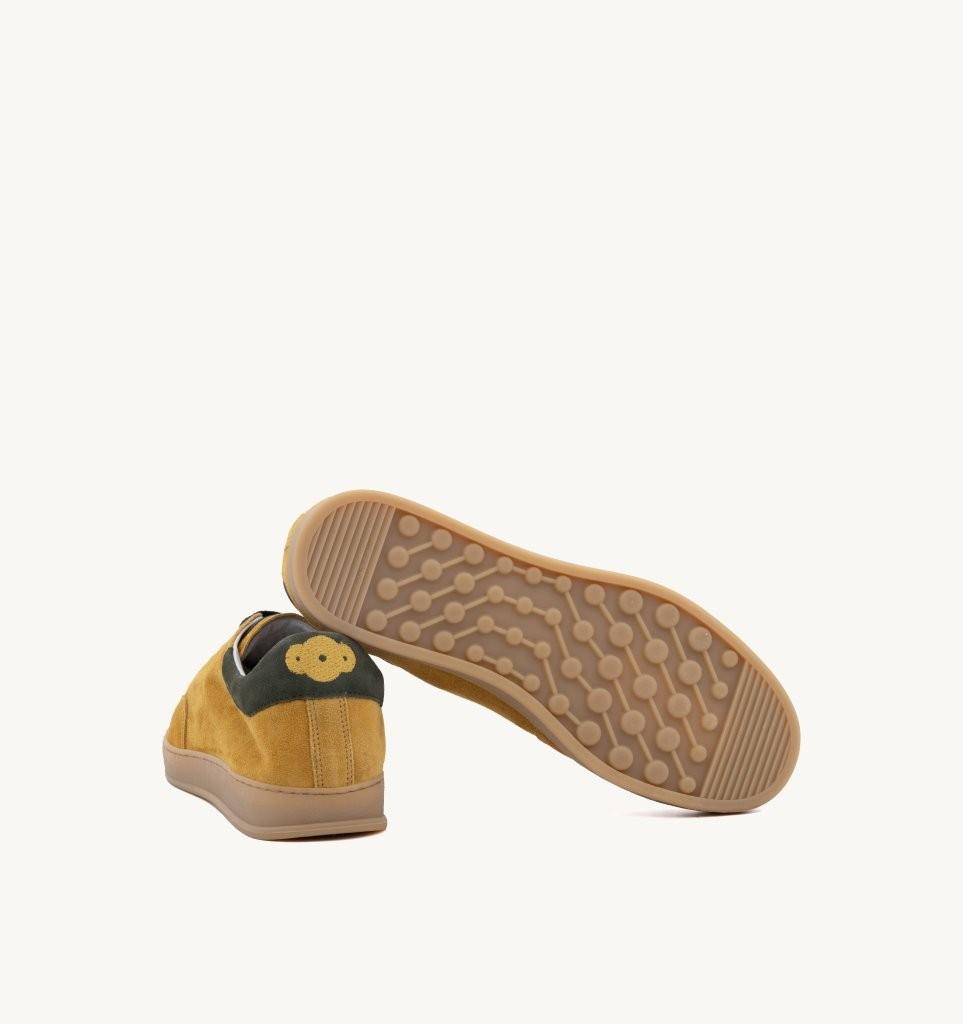 SOLDINI HOBBESOCRA