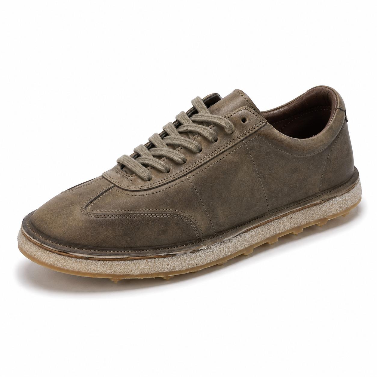 shoto 6431 6431 TORTORA SHOTO 