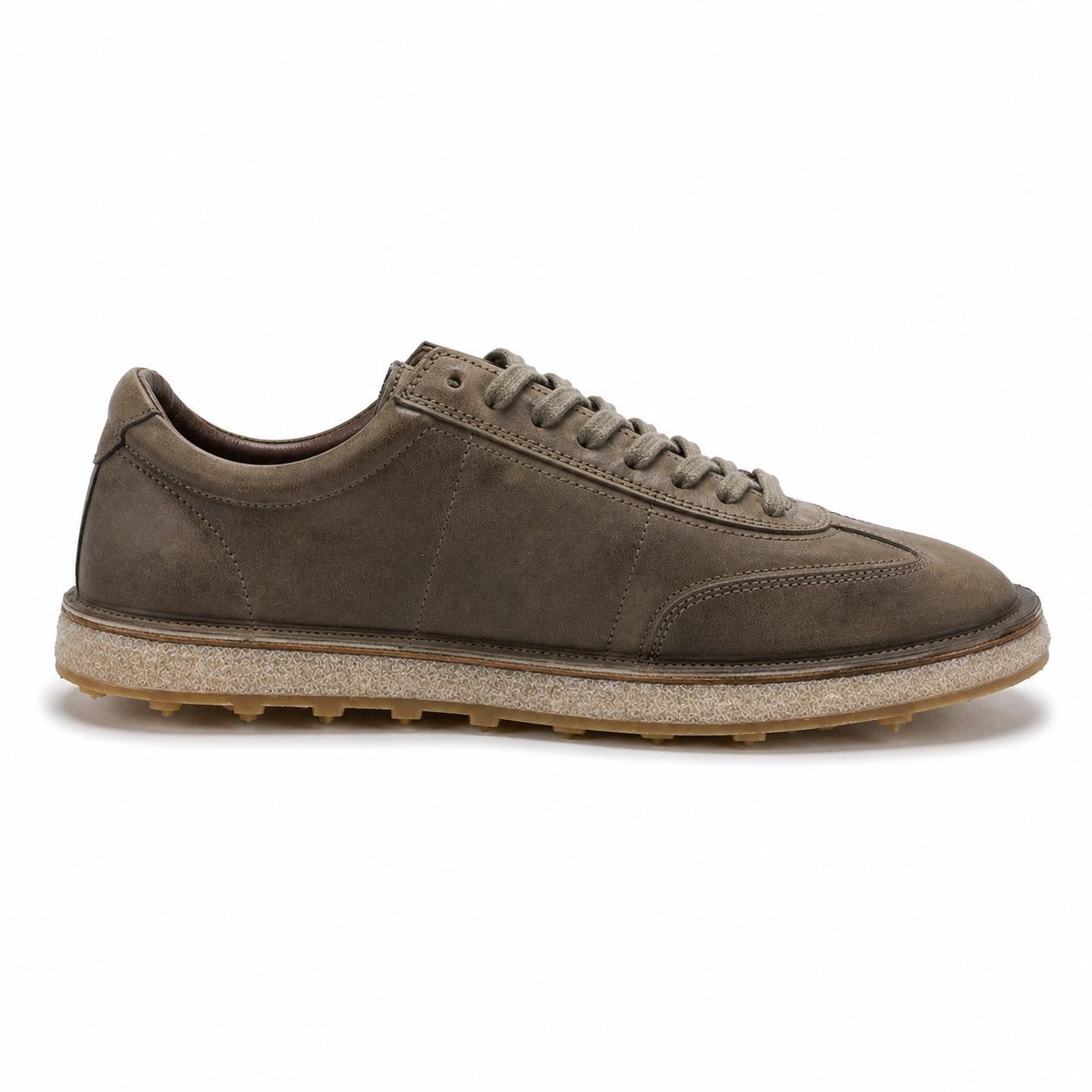 shoto 6431 6431 TORTORA SHOTO 