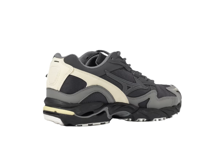 mizuno wave rider 10 cordura D1GA2563 01 MIZUNO 