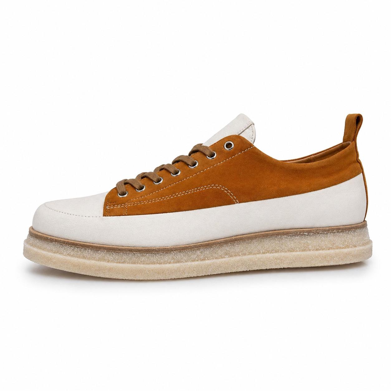 shoto 7664 7664 BOLGHERI 1054 SHOTO 
