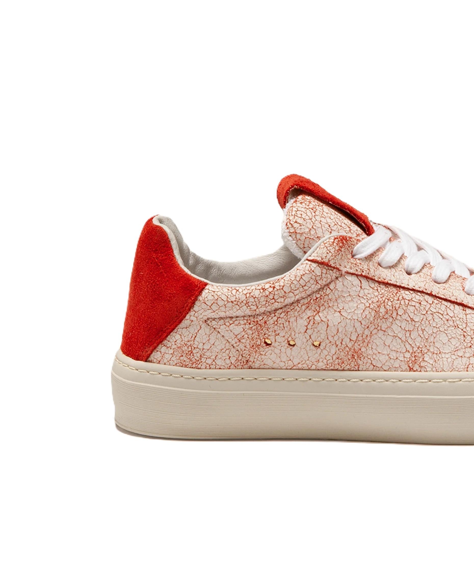 AQVA ALTA WDOGE01CRA/RED