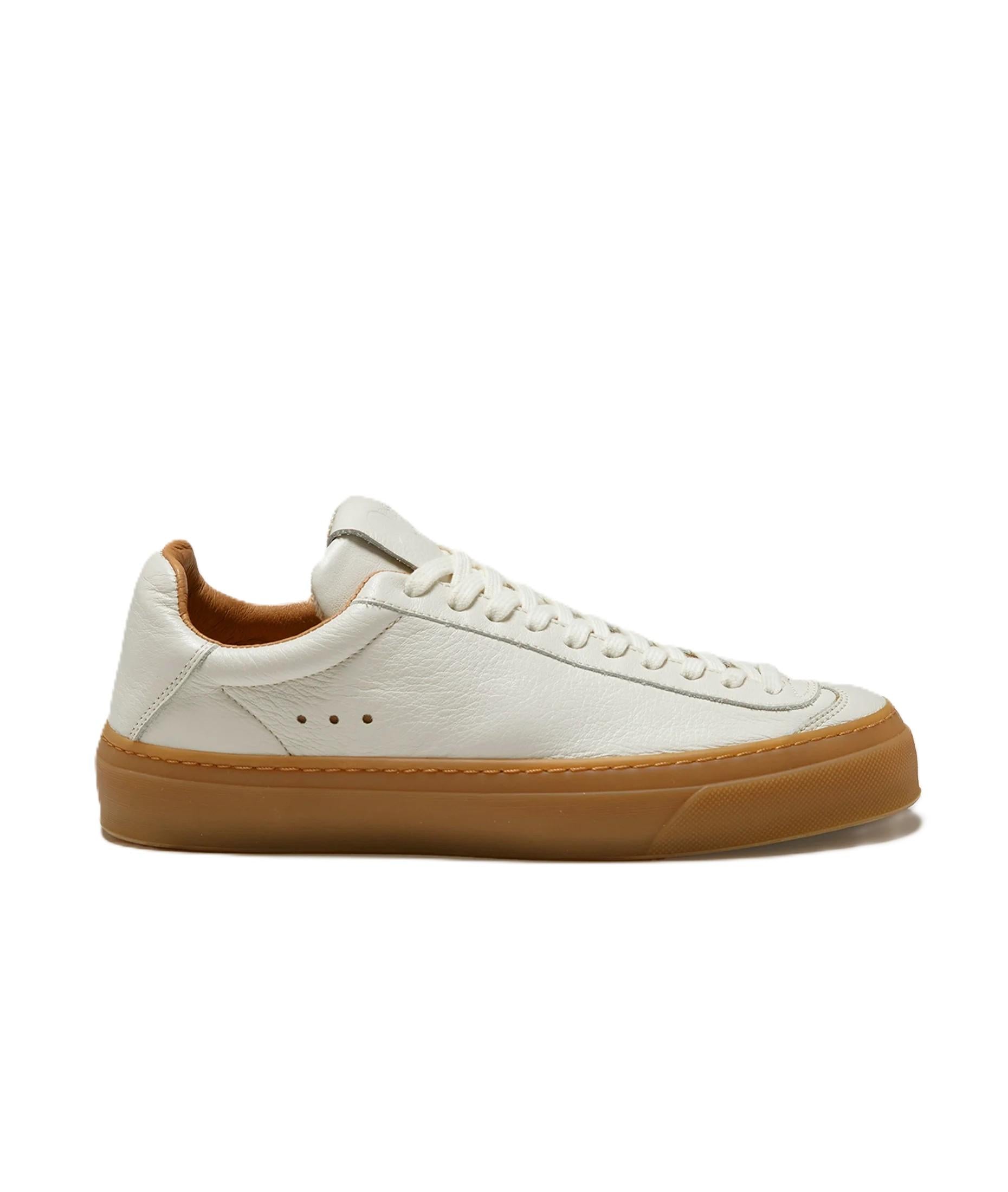 AQVA ALTA WDOGE01LEA/WHI/HON