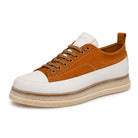 shoto 7664 7664 BOLGHERI 1054 SHOTO 