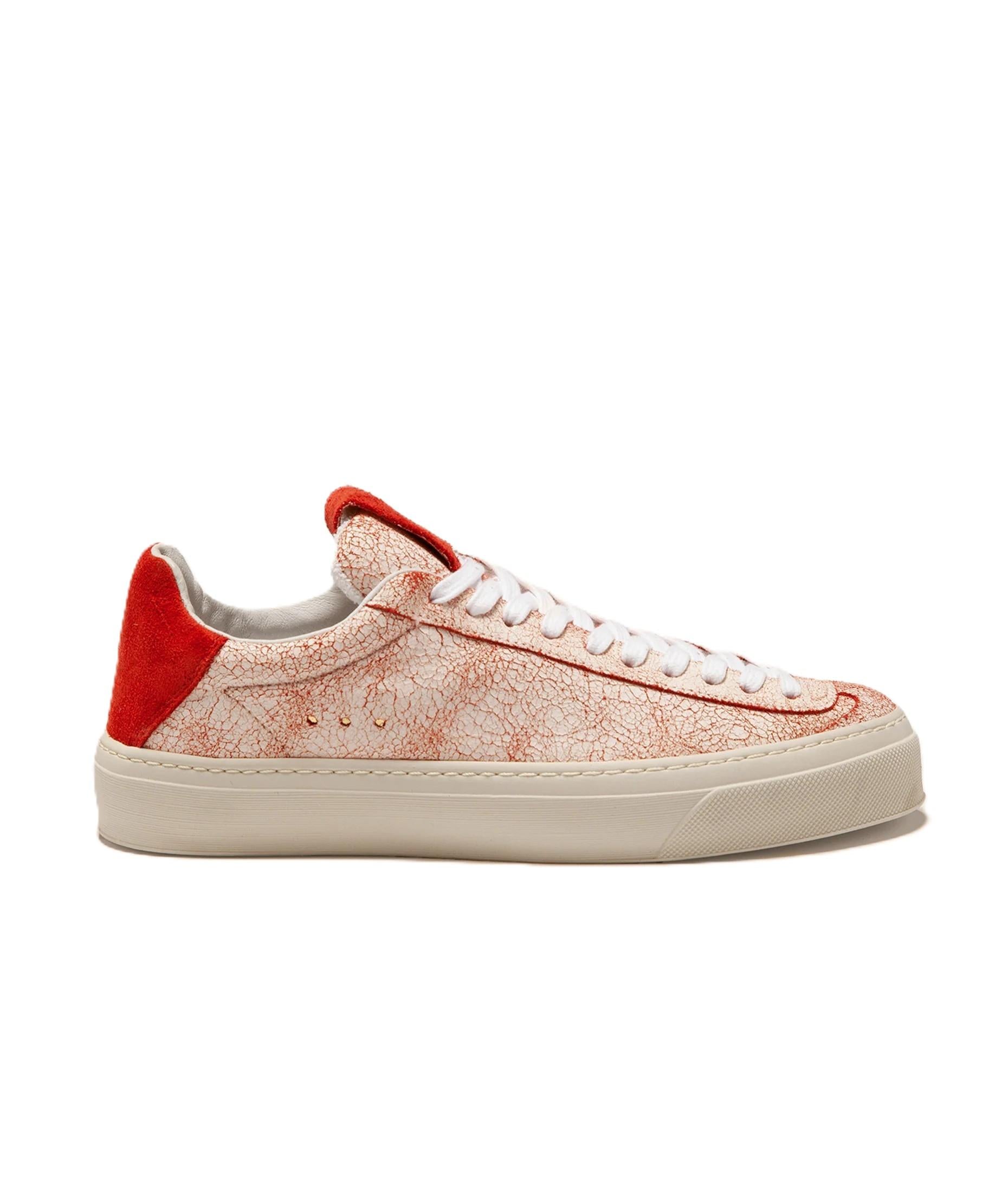 AQVA ALTA DOGE01CRA/RED